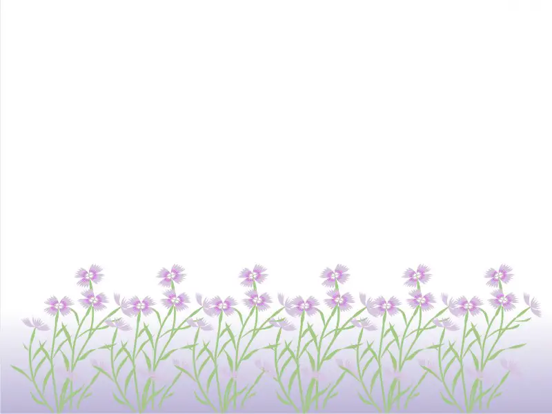 Violet Flowers 800×600