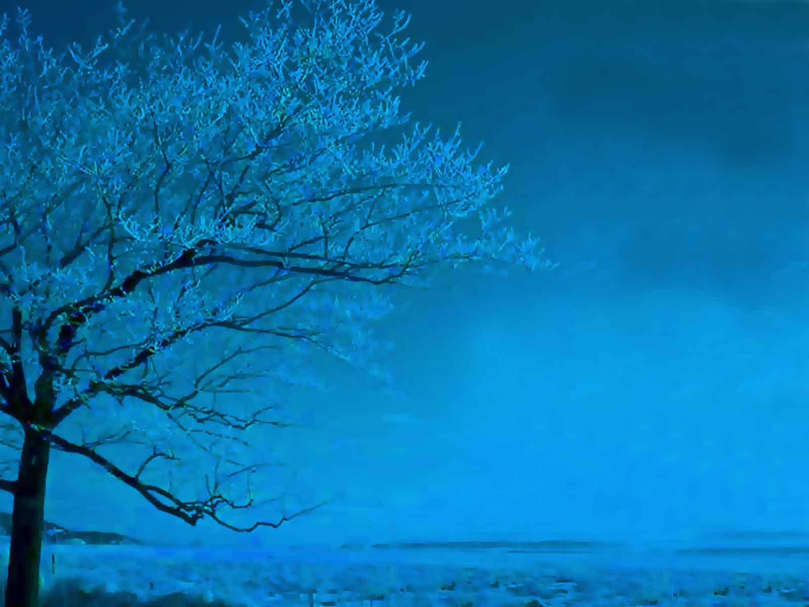 Tree in Light Blue